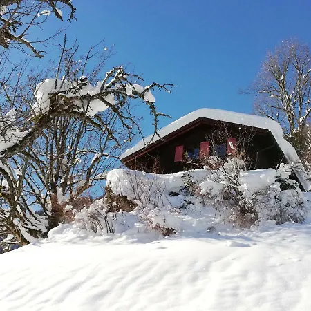 Ferienhaus Schnider Galgenul Exterior photo