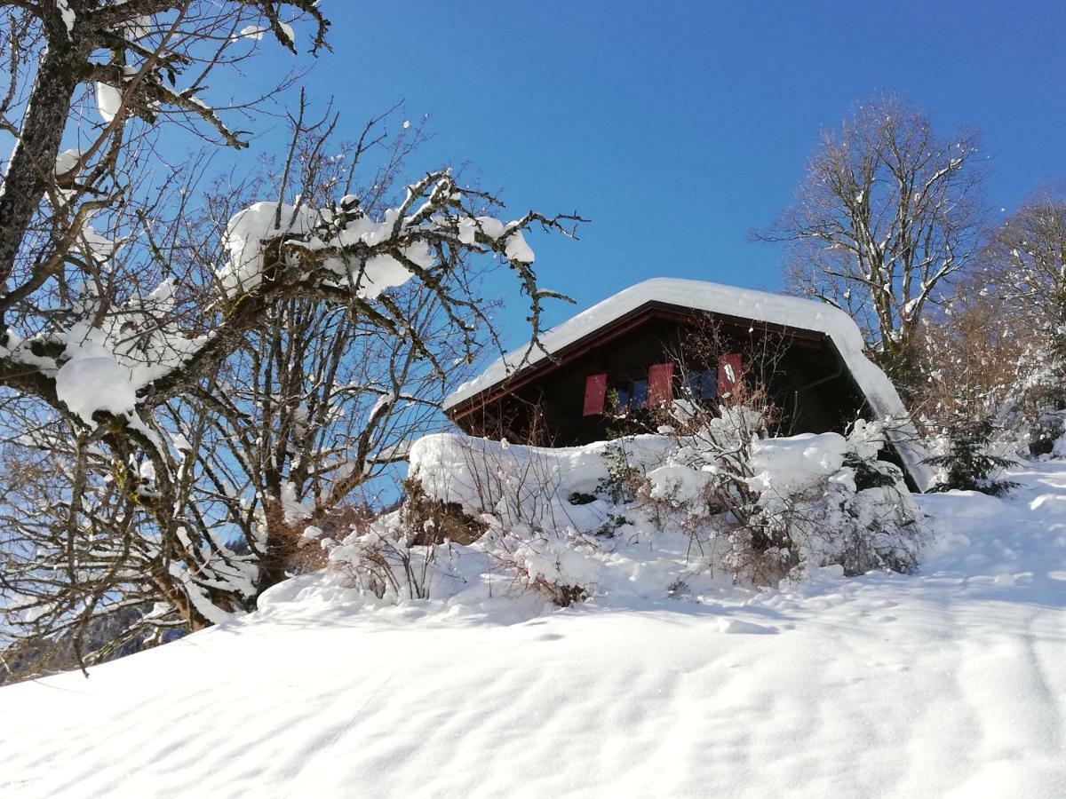 Schnider Holiday home *