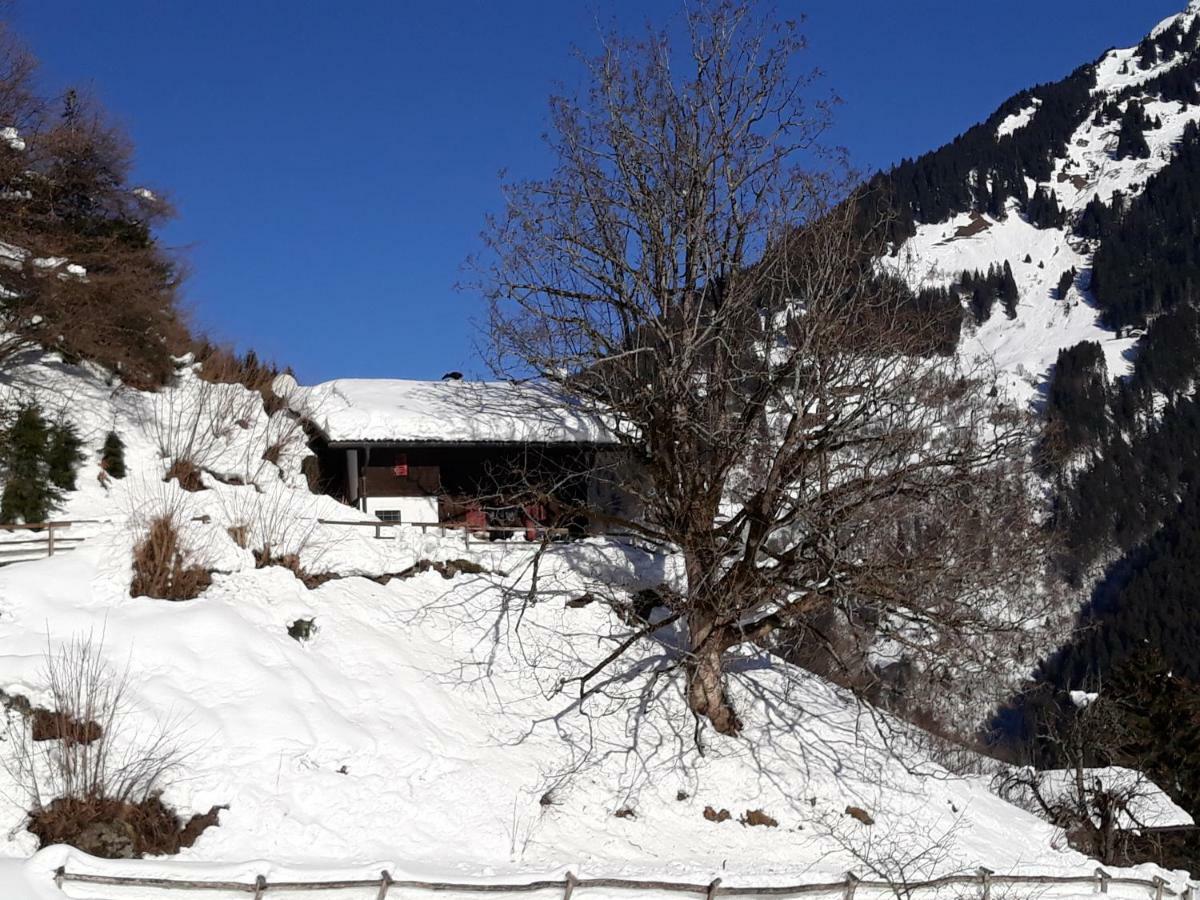 Schnider Ferienhaus Galgenul
